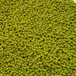 Lime Green - 100 grams